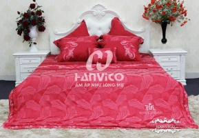 ra20-hanvico